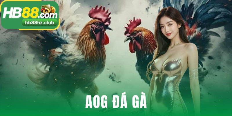 AOG Đá Gà