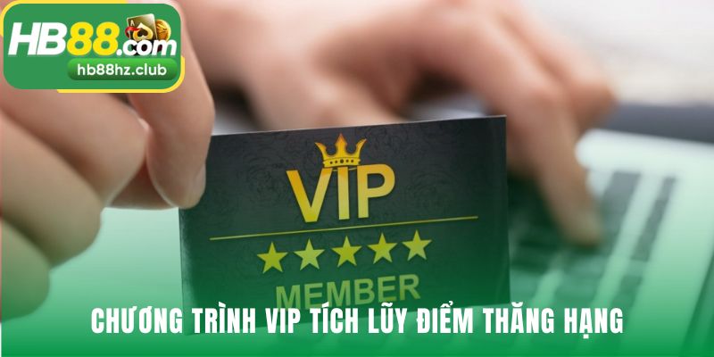 Chương trình VIP là đặc quyền cho người chơi gắn bó lâu dài