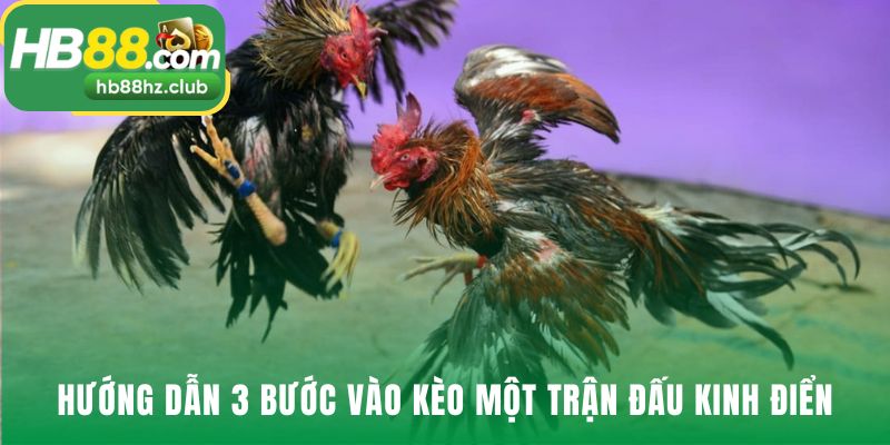 Quy trình vào kèo chớp nhoáng chỉ với ba bước cực kỳ đơn giản