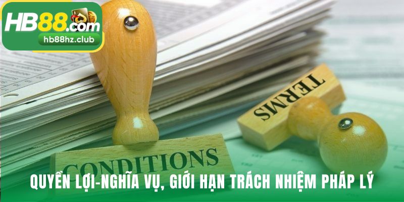 Điều khoản điều kiện phân định rõ quyền và nghĩa vụ các bên