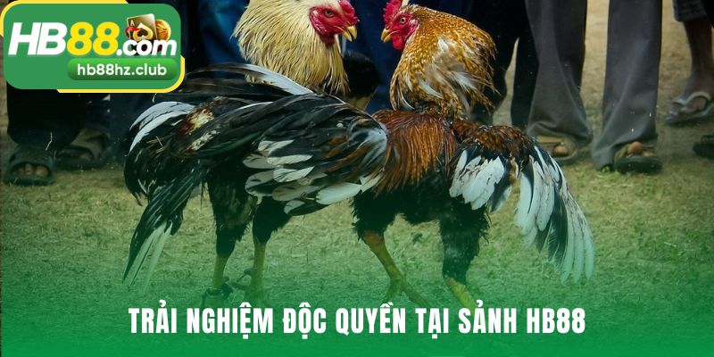 Công nghệ vượt trội tạo nên những phút giây kịch tính